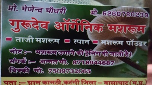 Gurudev Organic Mushrooms