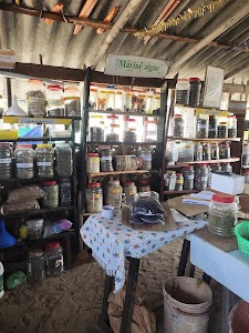 R.k Algae Project Centre