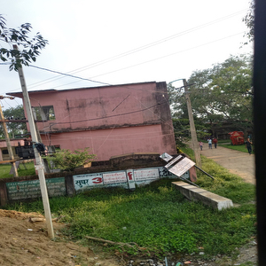 Primary School