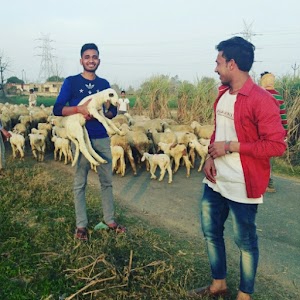 Nali Husainpur
