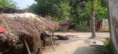 Salpur