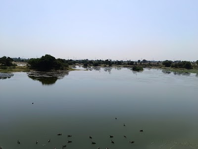 Pakadsar Pond