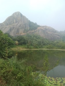 Saroj