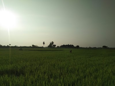 Naldugari