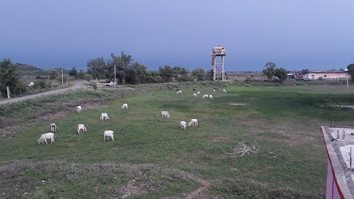 Bandhi