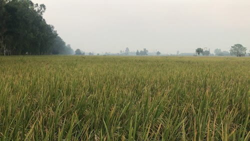 तारागढ