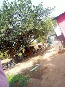 Jajan Khedi
