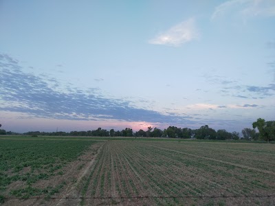 Narsinghpura Barani