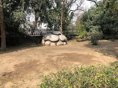 Rock Garden
