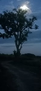 Tokabhansa