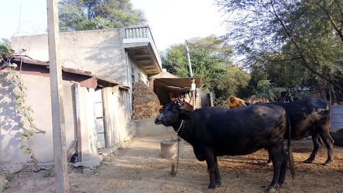 Itarda