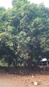 Bamti Branch Post Office