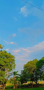 Mahrua