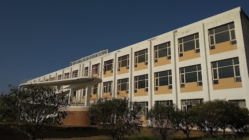 Indo Global College Of Architecture