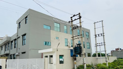 KOKILA HENNA AND HERBALS PRIVATE LIMITED