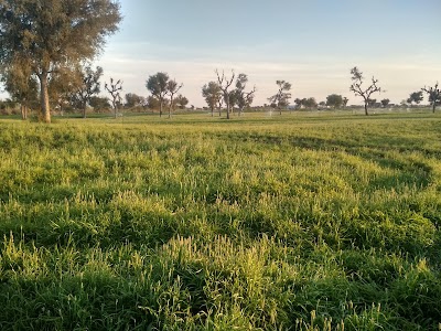Shri Kheteshwar Farm House,Prem Singh Fouji Ki Dhani