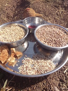 Mota-Hadmatiya