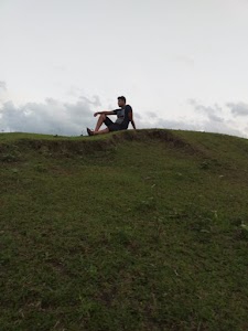 Assam forest land