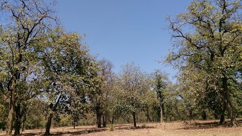 Kalvan