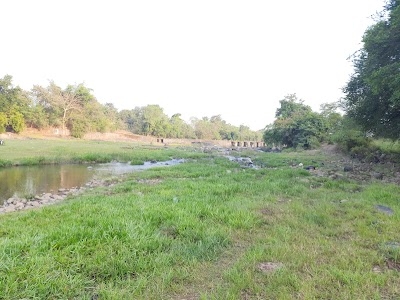 Ranifaliya