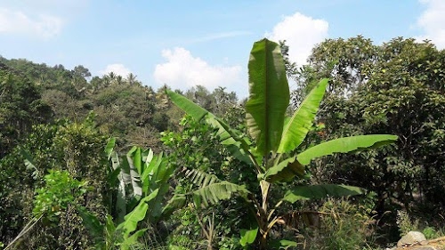 Najirpur