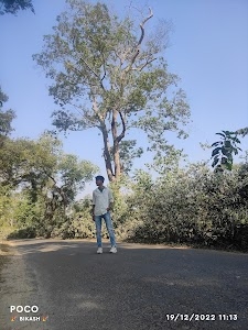 Lichubari