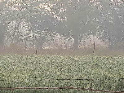 Chenna shwami cricket ground