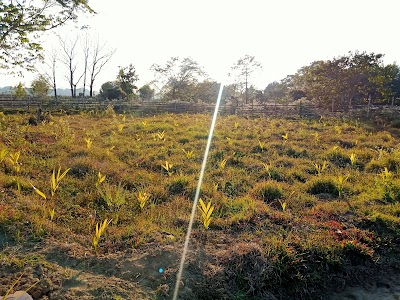 Promodenagar