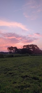 Purana pul