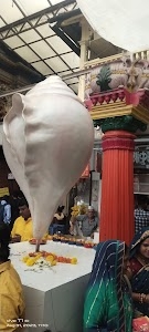 Yogi