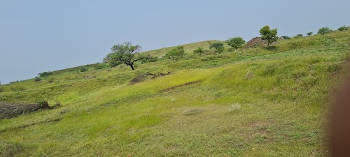 Kalas