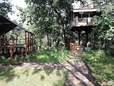 Tree House- Kerwa Jungle Camp