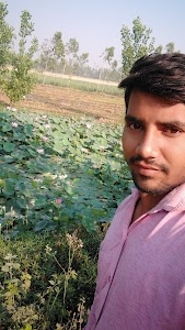 Tajpur Baheta