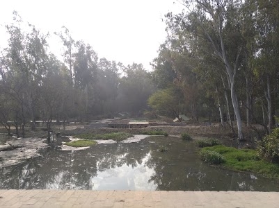 Jargari