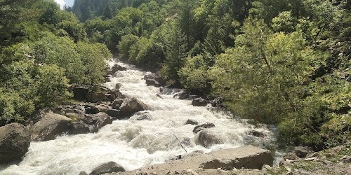 Pangi