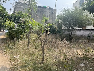 Kesar D Villa
