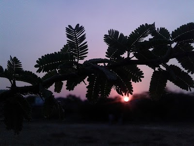 Jai Madi Girnar Lodge