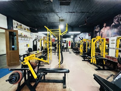 Anabolic gym