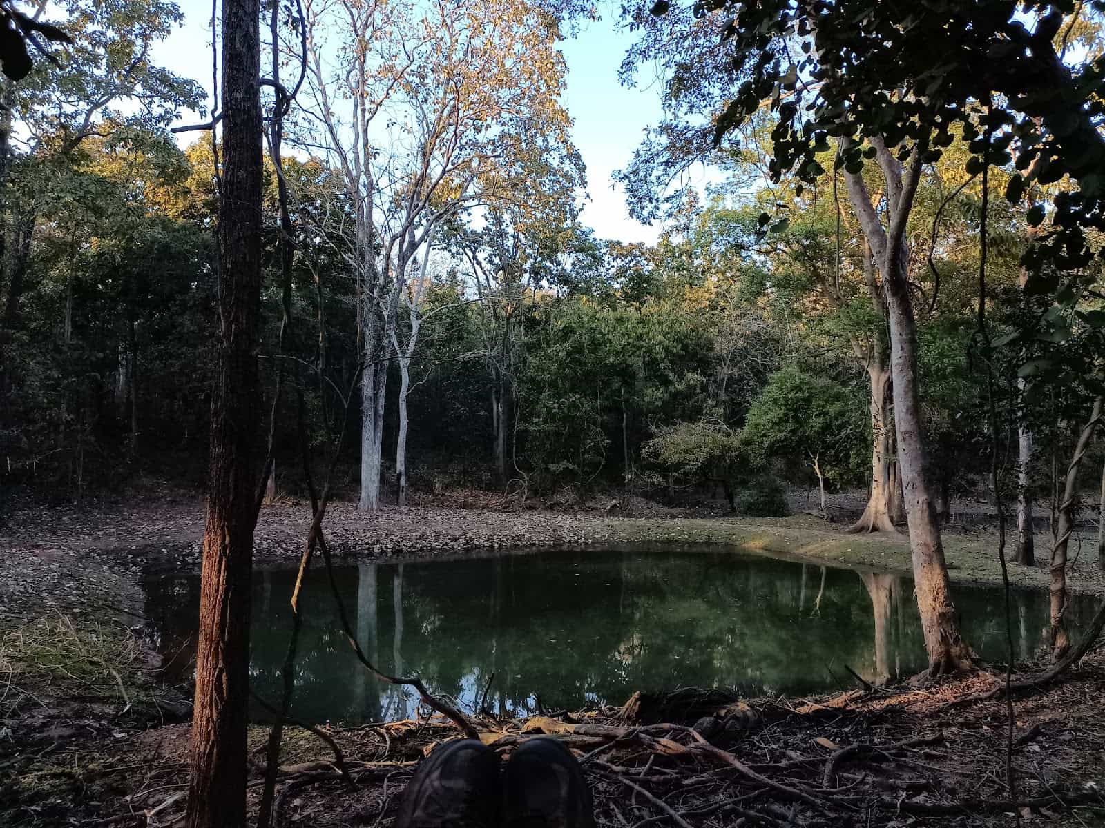 Koderma Wildlife Sanctuary