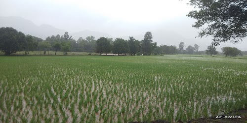 JAL SHRUSTI WATER PARK