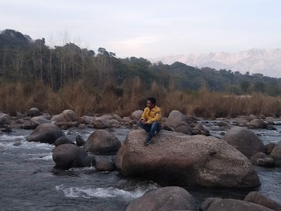 Manav Sewa Trust Regd