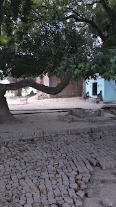 Chaini Mata Mandir