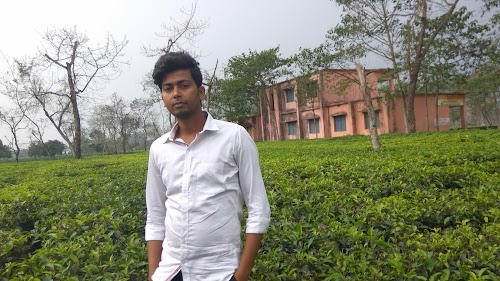 Nasid Hossain Palace