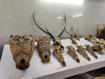 Bhitarakanika Crocodile Farm