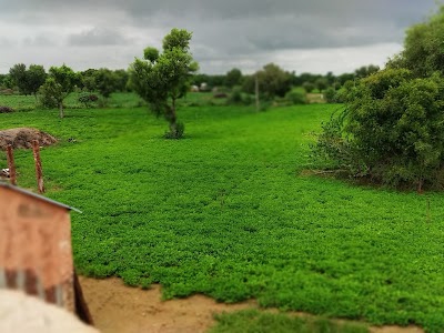 Godelai