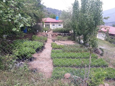 Tandali