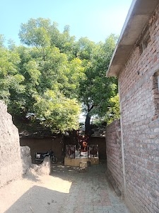 Meldi Maa