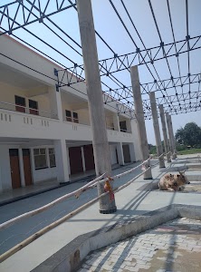Sehiya Amad Karari