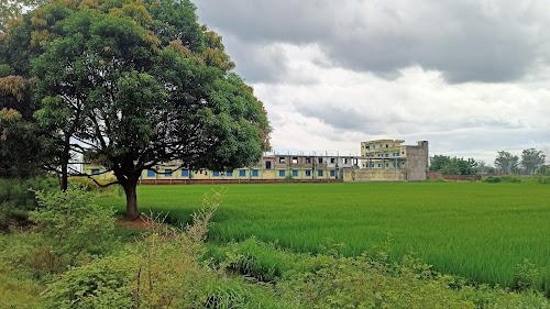 DEDICATED PUBLIC SCHOOL