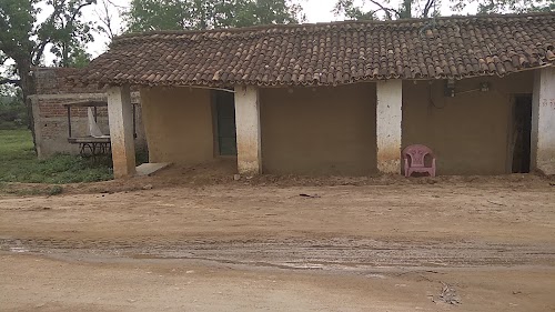 Shadab House?